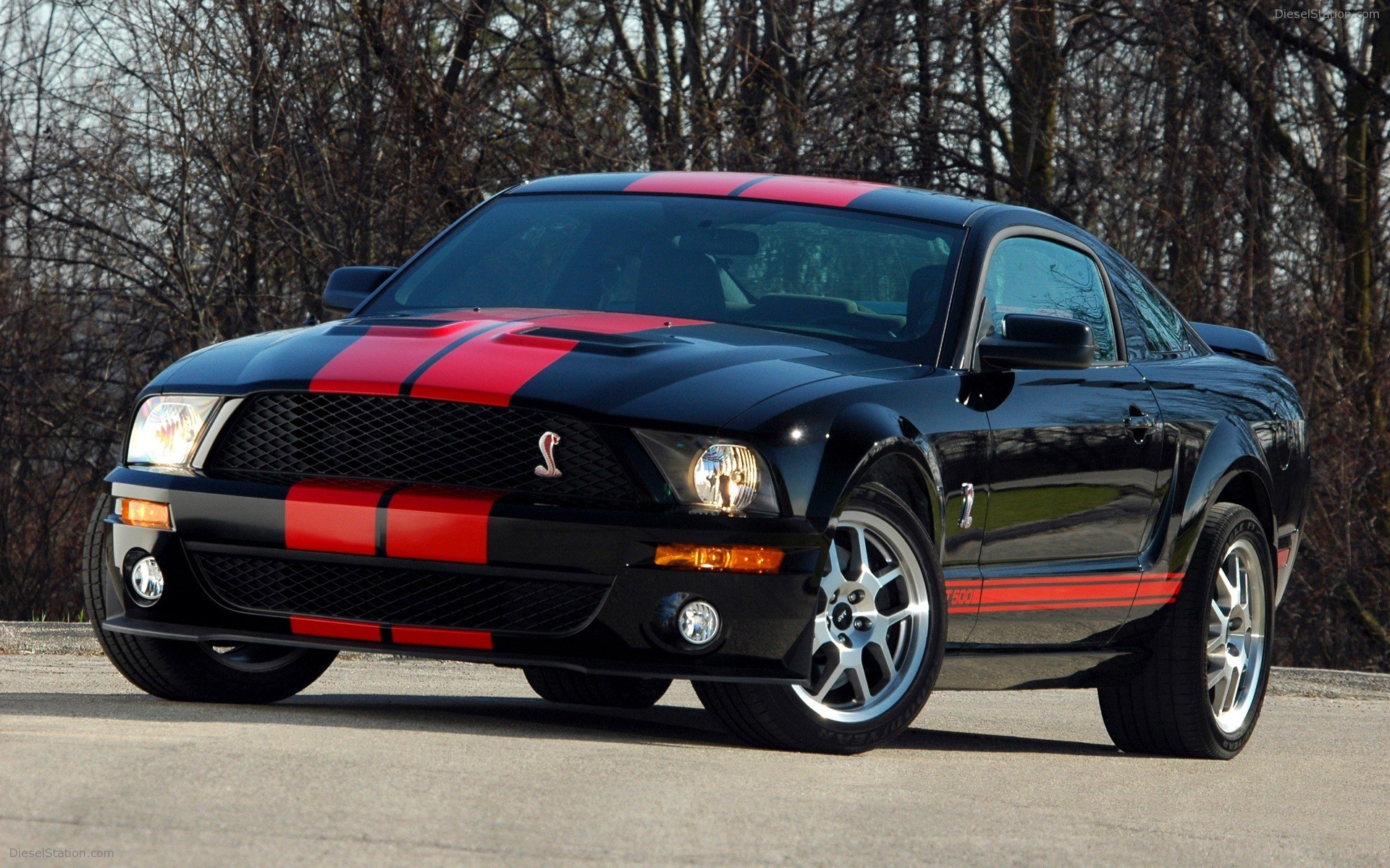 Ford Shelby Cobra GT500 Red Stripe